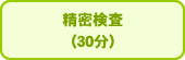 精密検査(30分)