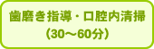 歯磨き指導・口腔内清掃(30〜60分)